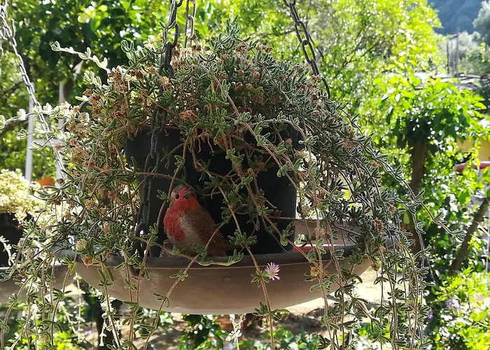 Hotel familiare: Sorrento Experience