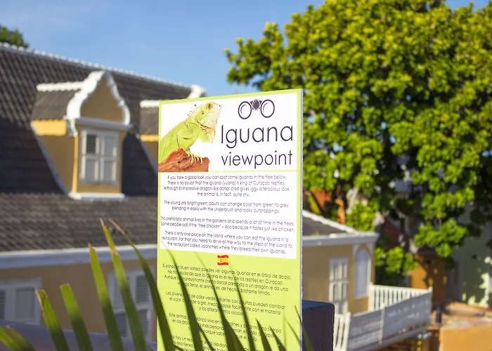 Curacao Suites Hotel