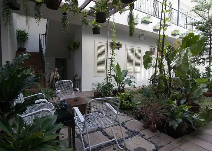 Brown Feather Batu Belig