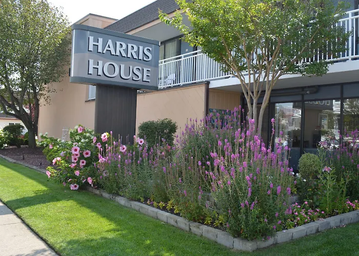 Motel: Harris House By The Beach