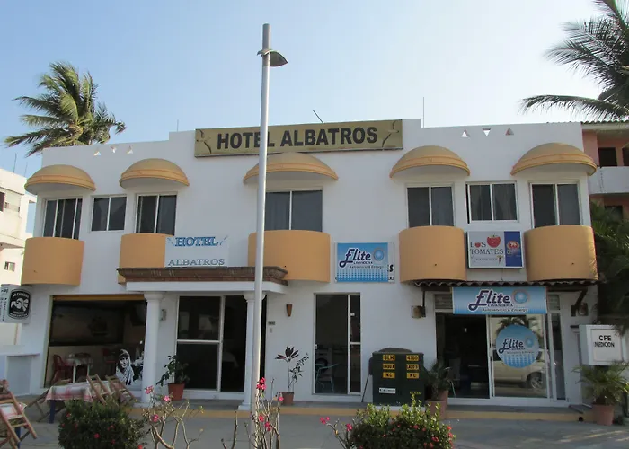 Albatros