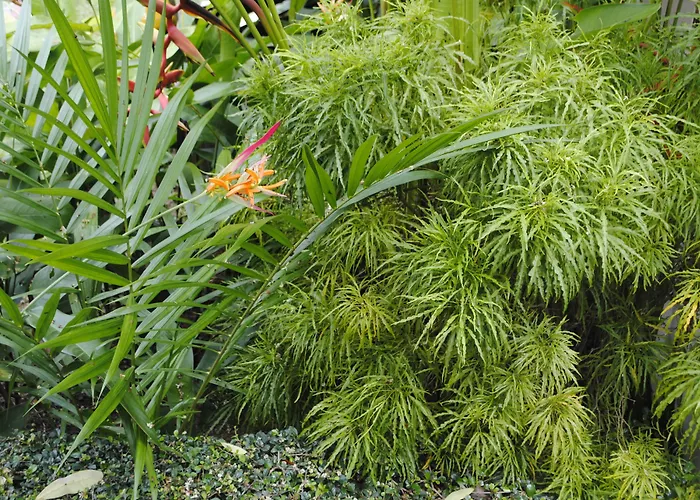 Jacuzzi hotel: Baan Sawan Samui Resort