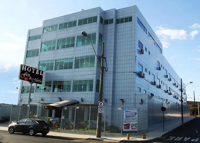 Hotel: Hotel Flor De Minas