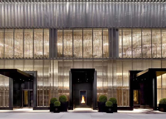 Hôtel accueillant les animaux: Baccarat Hotel And Residences New York