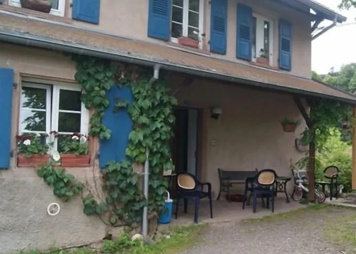 Hôtel accueillant les animaux: Pension l’instant
