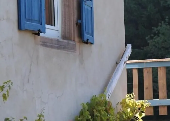 Hôtel accueillant les animaux: Pension l’instant