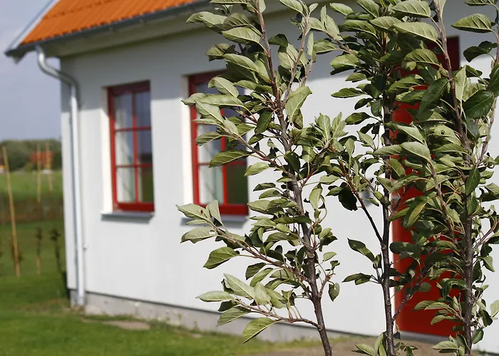 Hobykrok B&B