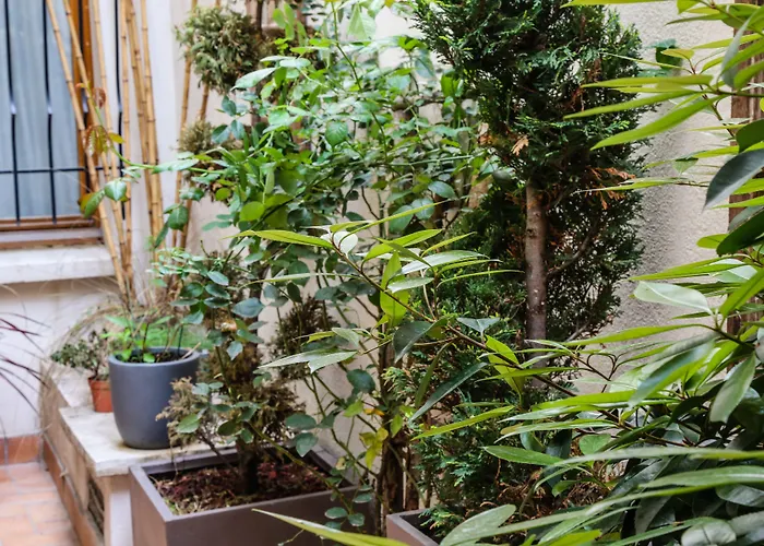 3 star hotel: Hotel Des Arenes