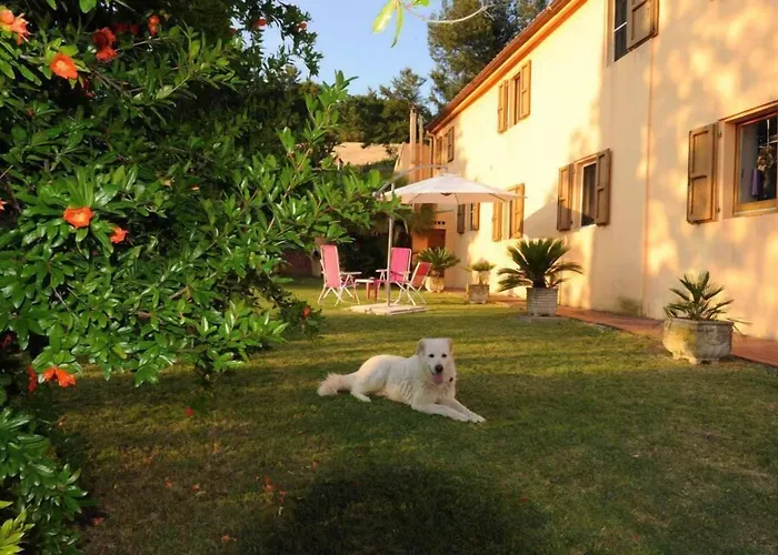  B&B Glicine
