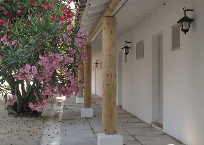 Hôtel accueillant les animaux: Cacharel