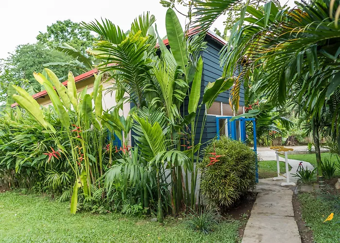 Pension Guide Canary Guesthouse