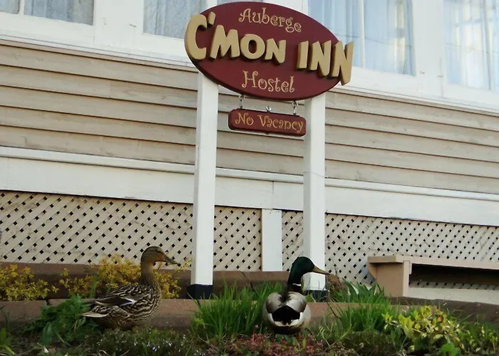 Hotel near College: Auberge C'Mon Inn Hostel