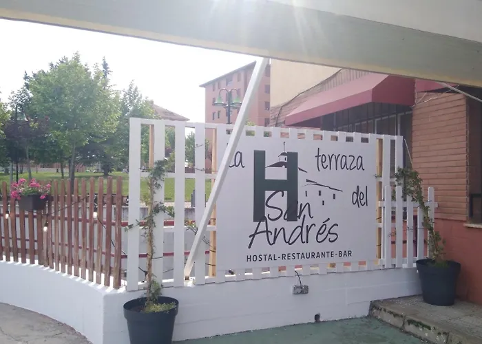 Perros hoteles San Andrés