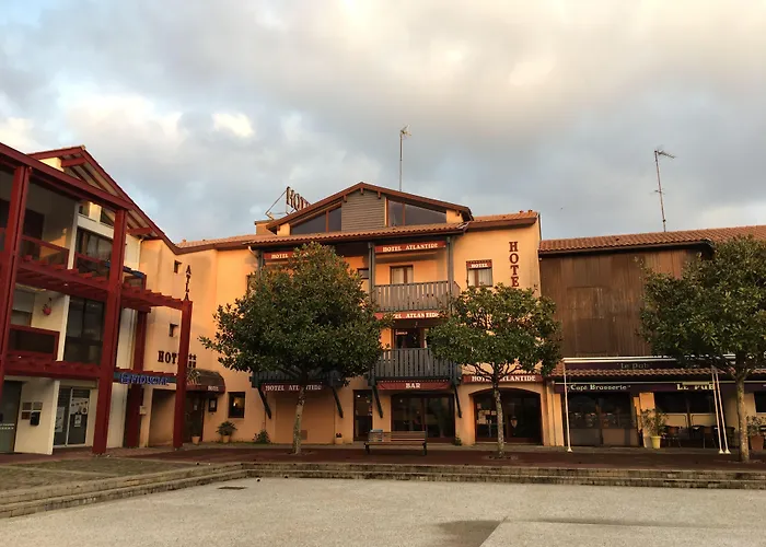 Hôtel accueillant les animaux: Hotel Atlantide