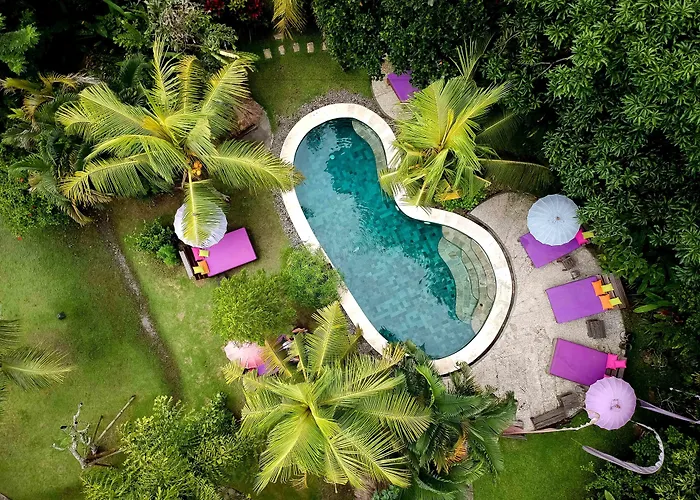 Hôtel 4 étoiles: Swasti Eco Cottages