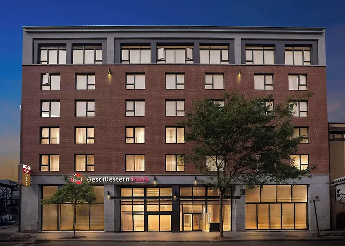 Animaux admis Best Western Plus Montreal