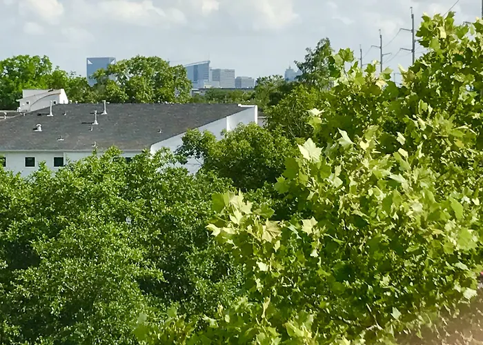 B&B only: Montrose Guesthouse Suites