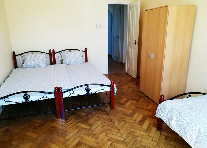Hotel near College: Treestyle Hostel