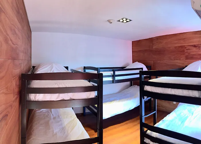 Albergue: Circus Hostel&Hotel Montevideo