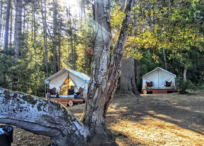 Pet Friendly hotel: Mendocino Grove