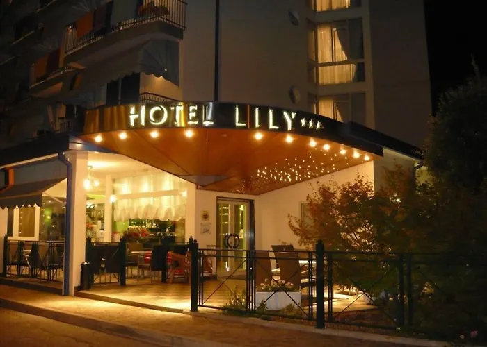 3-Sterne-Hotel: Hotel Lily