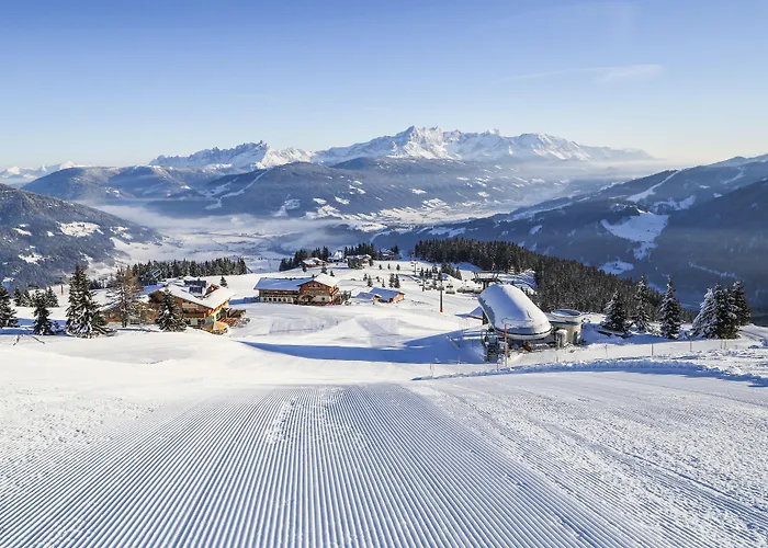 Huisdiervriendelijk hotel: Almdorf Flachau - Luxus Huettenurlaub