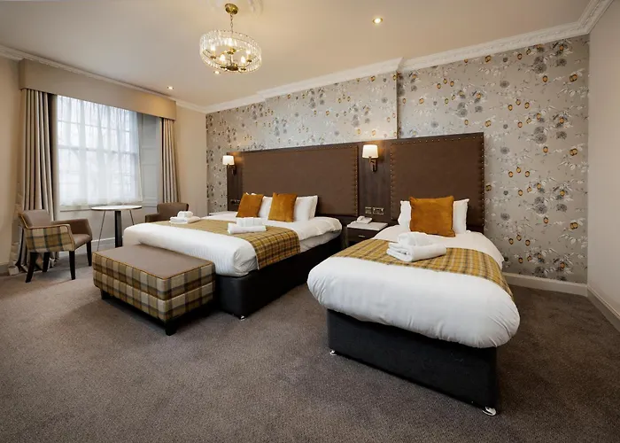 Hôtel bon marché: New Town Hotel