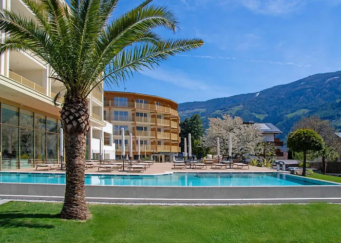 Hotel adatto agli animali: Hotel Nocturnes
