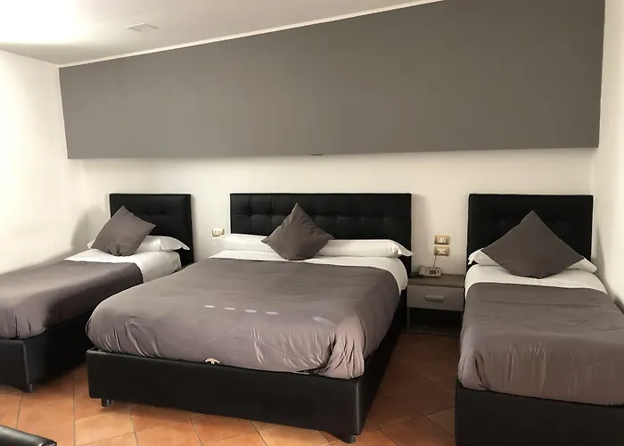 Hotel familiare: Hotel Nettuno