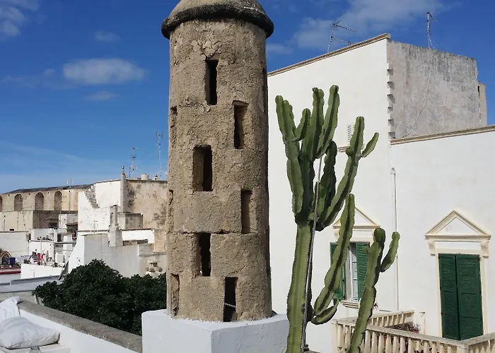 Corte Moline