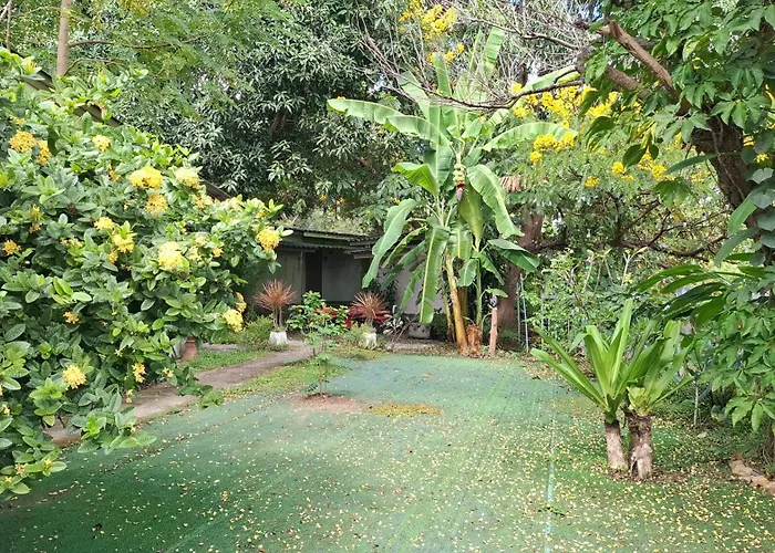 Oasis Pai Resort