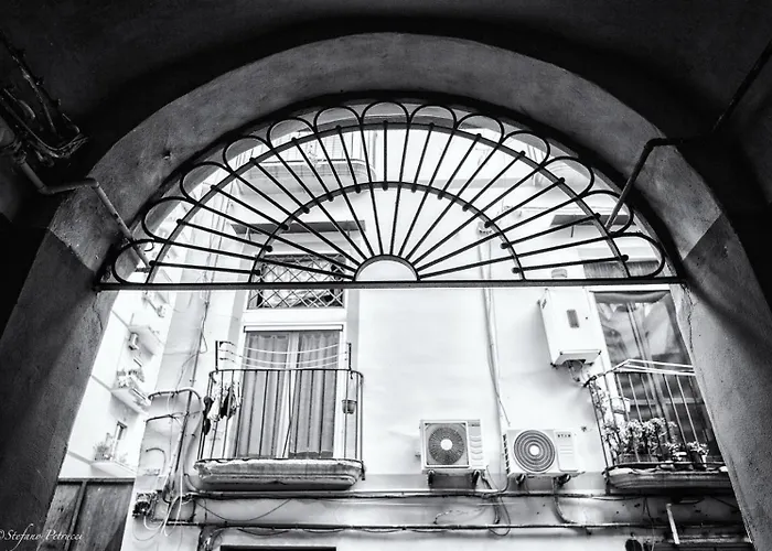 Belvedere 75