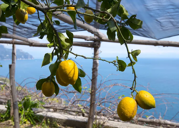 Central hotel: Villa Orleans