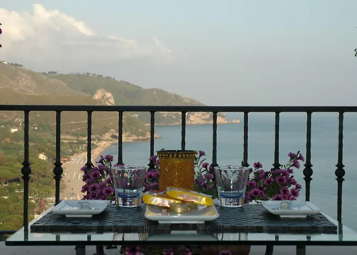 Hotel adatto agli animali: Hotel Corallo