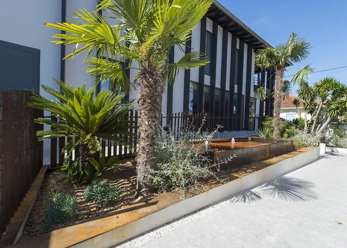 Hôtel accueillant les animaux: L'Anderenis Boutique Hôtel