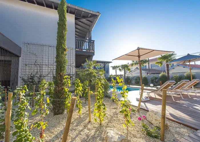 Hôtel accueillant les animaux: L'Anderenis Boutique Hôtel