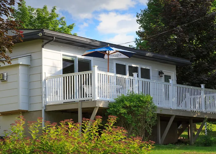 Pets Allowed Hotel Silver Birches Resort
