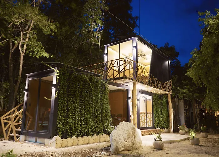 Goedkoop hotel: Bufo Alvarius