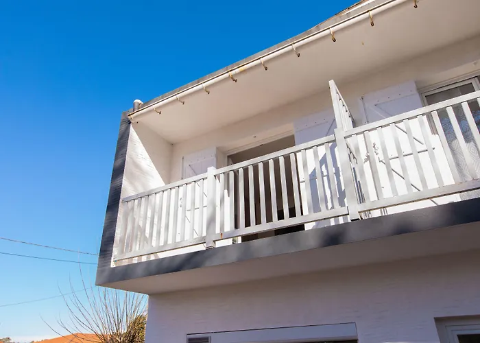 Hôtel accueillant les animaux: Hôtel Land'Azur