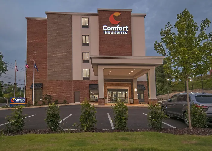 Comfort Inn & Suites Downtown Near University