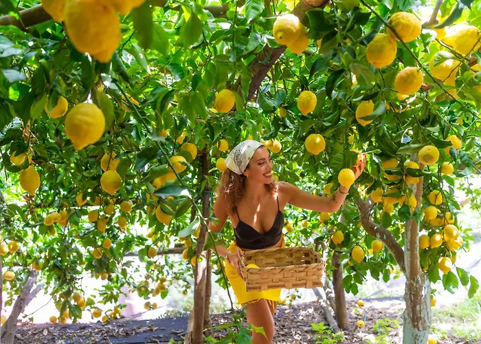 Central hotel: Hotel La Pergola