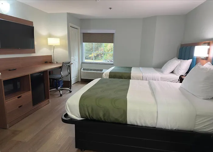 Luxury hotel only: Wingate By Wyndham Macon West I-475