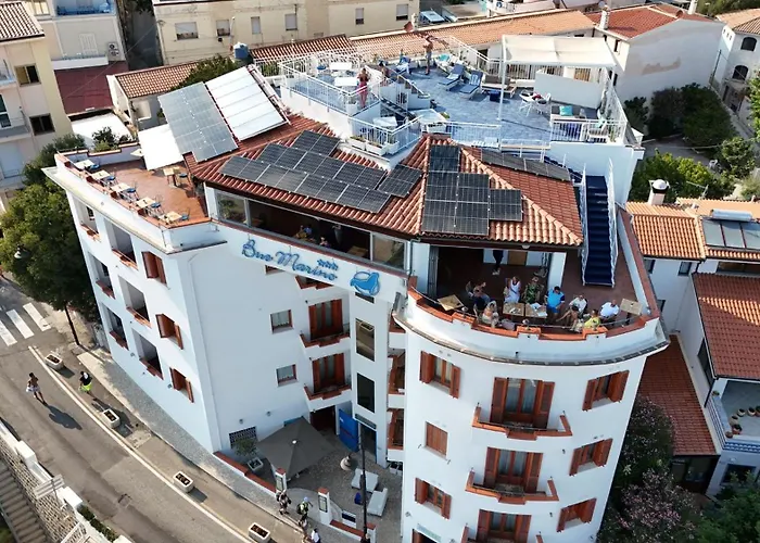 Pet Friendly hotel: Bue Marino Hotel & Rooftop Bar