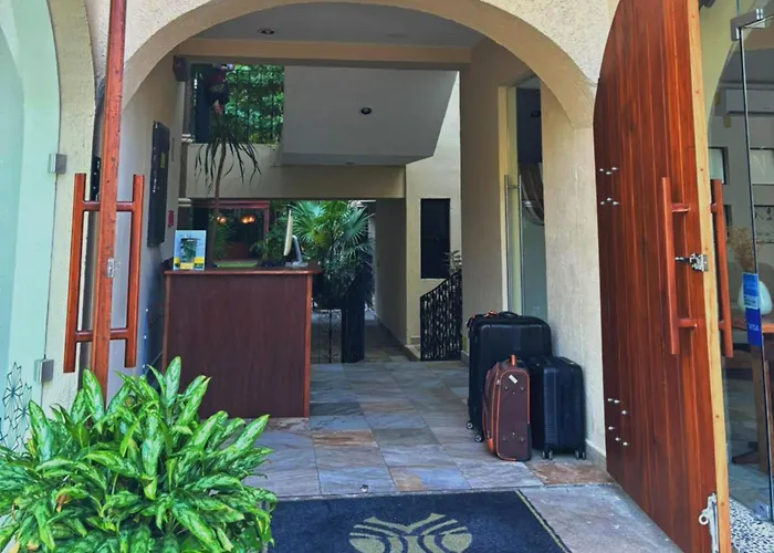 Perros hoteles Nina