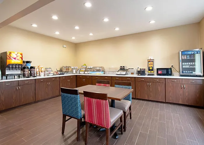 Pet Friendly hotel: Comfort Inn & Suites Fredericksburg