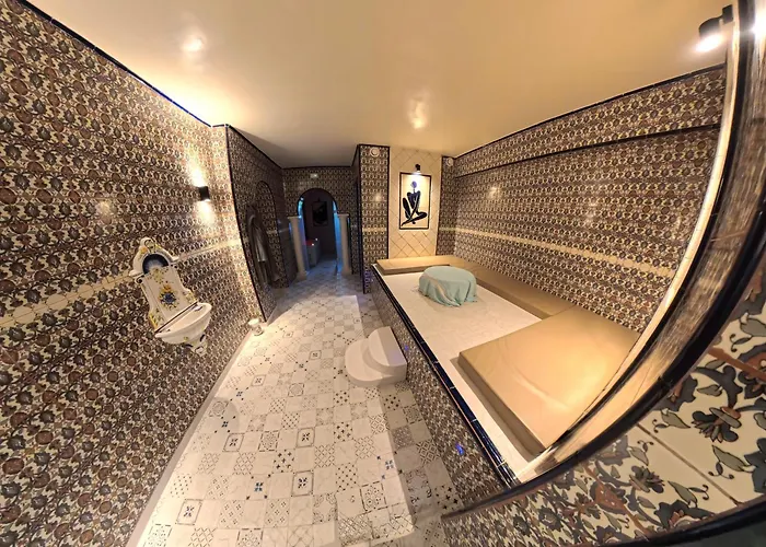 Hôtel accueillant les animaux: Zodiac Hôtel&Aqua Park