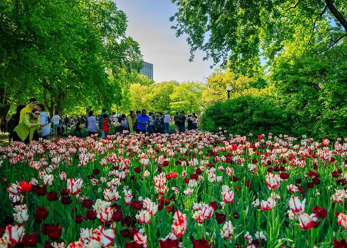 Holiday Inn Ottawa East By Ihg