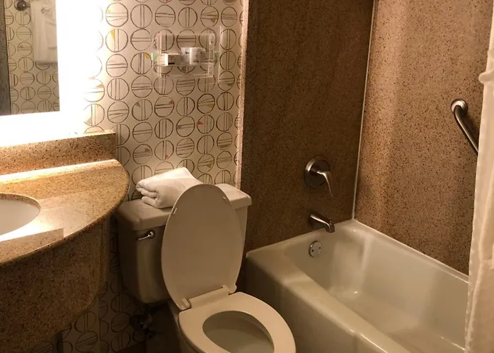 Holiday Inn Asheville East-Blue Ridge Pkwy By Ihg