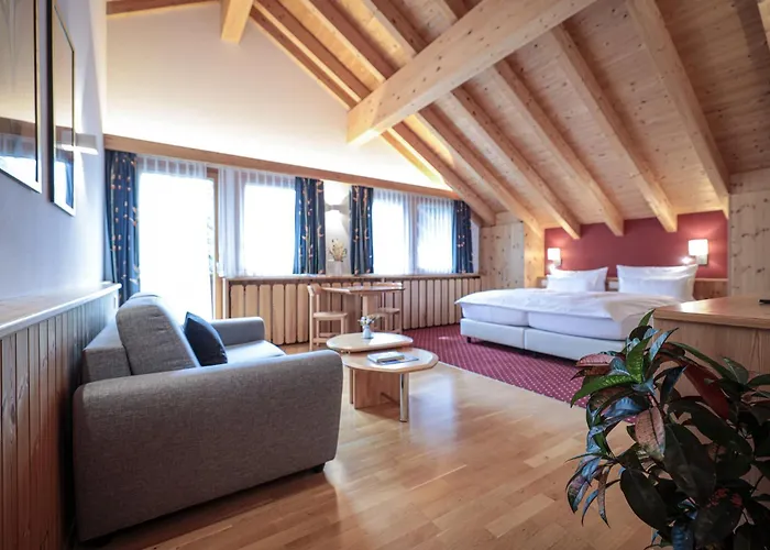 Ping Pong Hotel: Hotel Garni Sonnenhalde