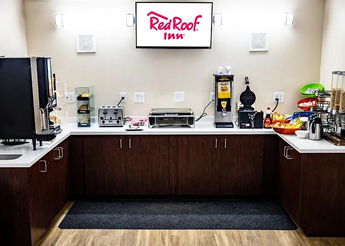 Motel: Red Roof Inn Fredericksburg North